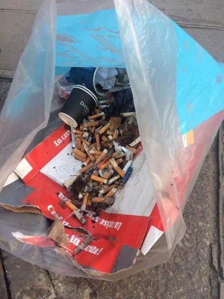 ぽかぽか陽気の2月お掃除画像