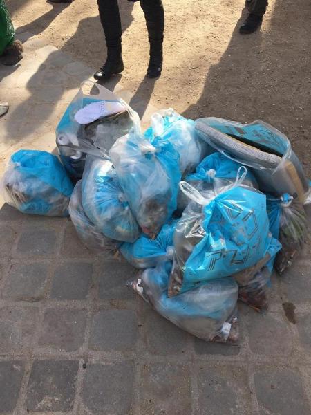 ぽかぽか陽気の2月お掃除画像