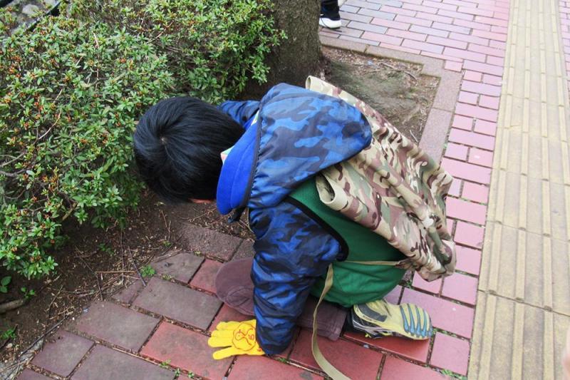 防犯グリーンバードfrom溝口神社。やってきました！【第１３回】画像