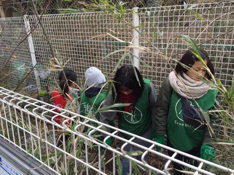 ついに一周年！2017年3月分定期清掃会【第１４回】画像