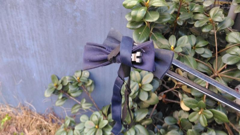 北新地チーム【定例おそうじ】3月1回目画像