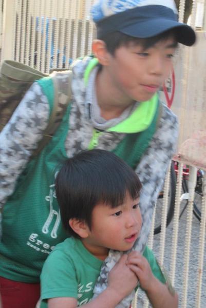 防犯グリーンバード～タワーマンション編～【第１５回】画像