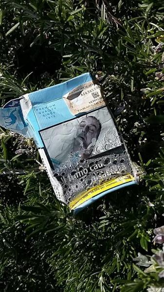 Parco del sole 画像