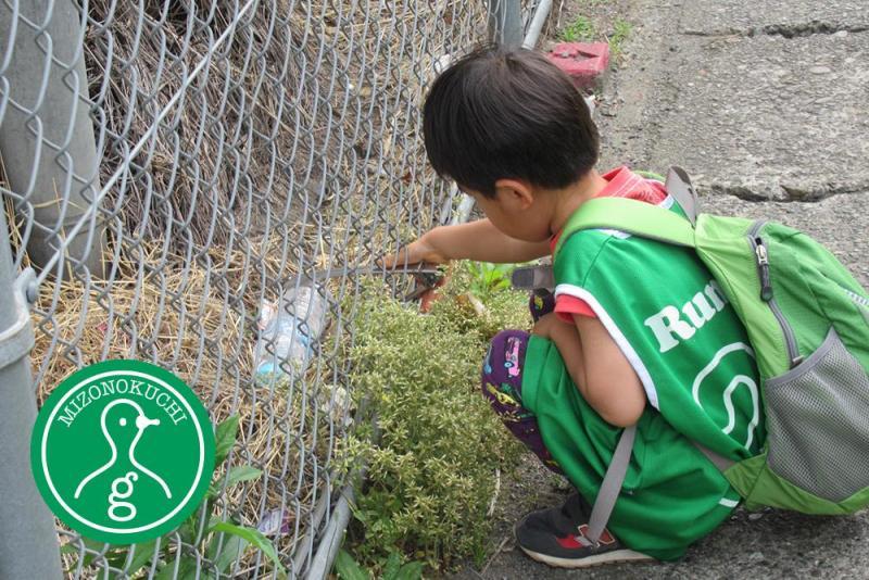 5月定期清掃会【第１６回】画像