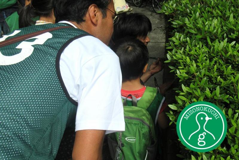 5月定期清掃会【第１６回】画像