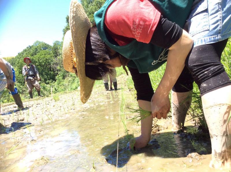 ゴミゼロ！画像