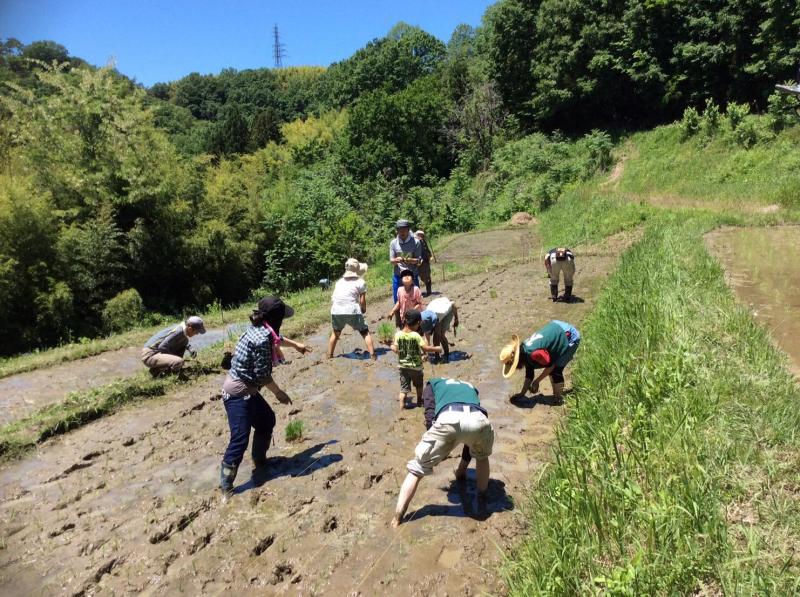 ゴミゼロ！画像