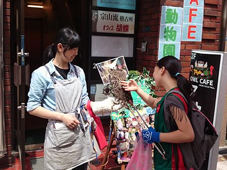 【定例】第14回　浅草雷門～オレンジ通り～まるごとにっぽん～浅草寺画像