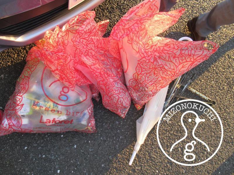 防犯グリーンバード～メイフェア編～【第１８回】画像