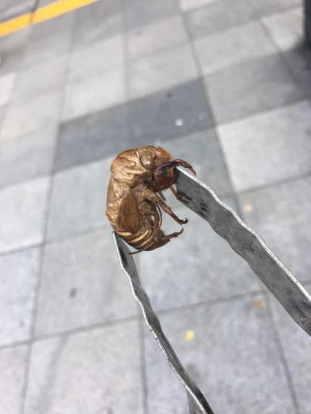 【北新地】定例おそうじ【6月土曜1回目】画像