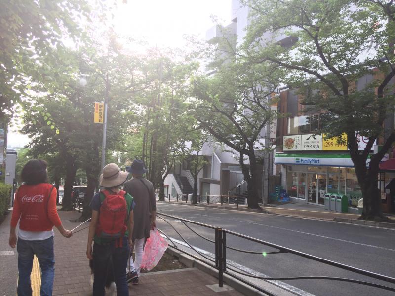 出張グリーンバードしてきました！【第１９回】画像