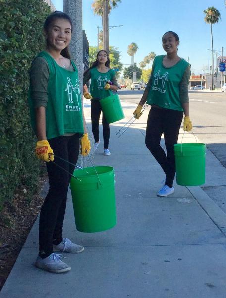 Green Bird Tuesday画像