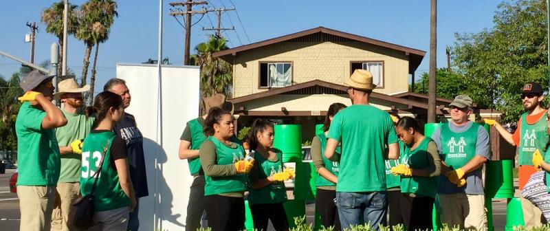 Green Bird Tuesday画像