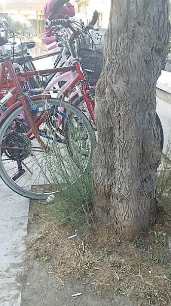 今日は海で！画像