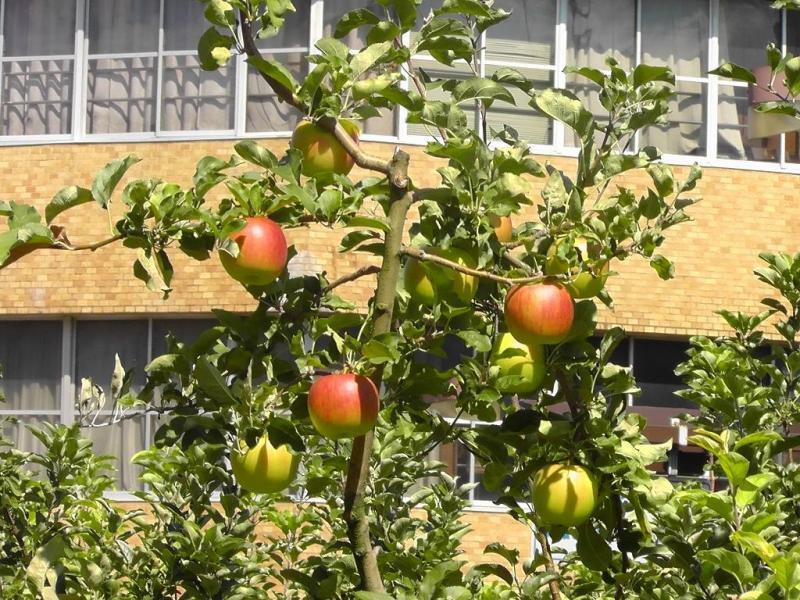 丘の上でのんびり画像