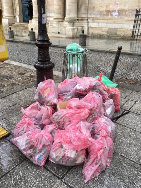 また雨(T_T)画像