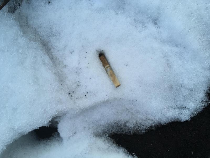 新年もどうぞよろしくお願いします！画像