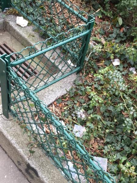 雨に付きまとわれるパリチーム画像