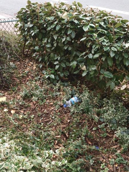雨に付きまとわれるパリチーム画像