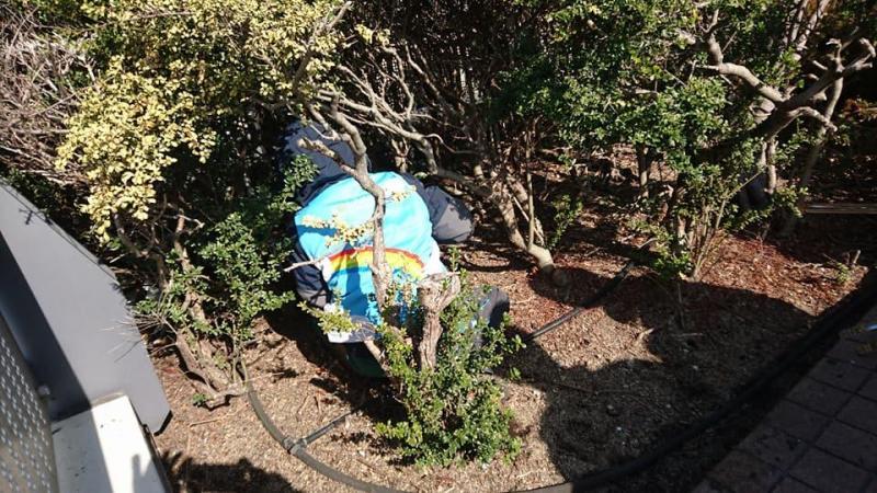 溝ノ口チーム定期清掃会3月分【第２９回】画像