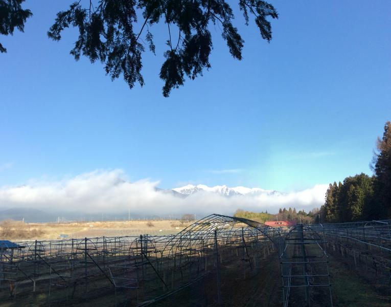 始動！みんなde場づくり★画像