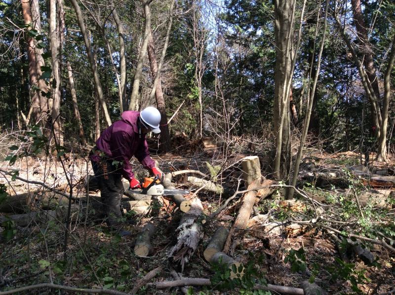 始動！みんなde場づくり★画像