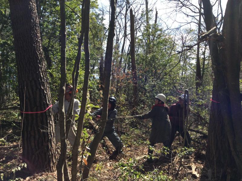 始動！みんなde場づくり★画像