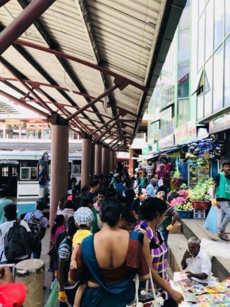 Green Bird Trash picking MEGA event!画像