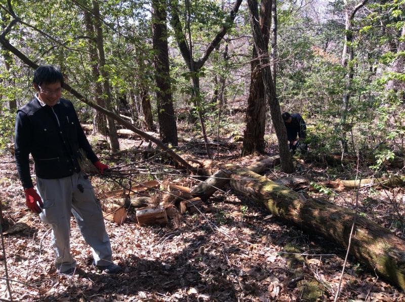 お花見にむけて★画像