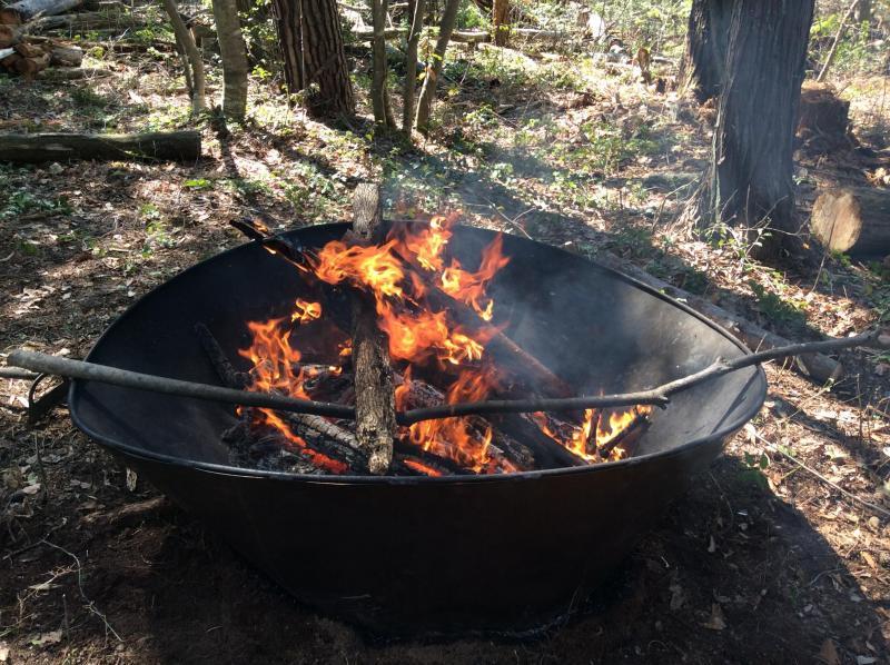 お花見にむけて★画像