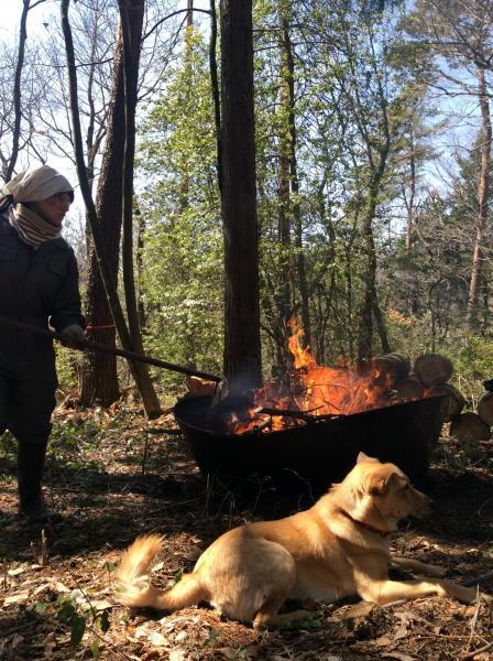 お花見にむけて★画像