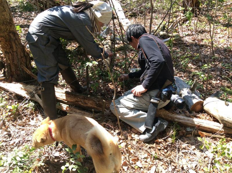 お花見にむけて★画像