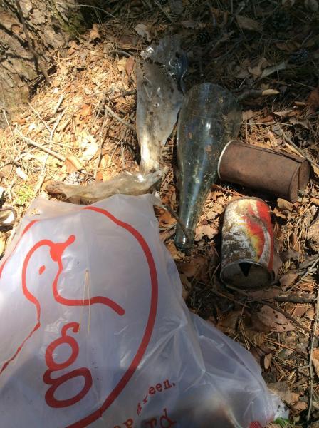 お花見にむけて★画像