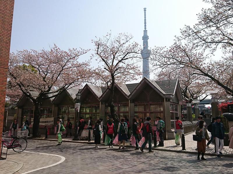 【サンデー浅草そうじ】第32回　雷門通り～馬道通り～浅草駅北口～隅田公園画像