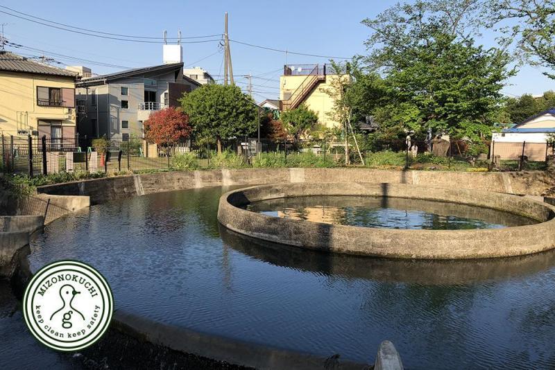 防犯グリーンバード【第３１回】画像