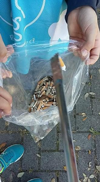 Parco delle Meraviglie画像