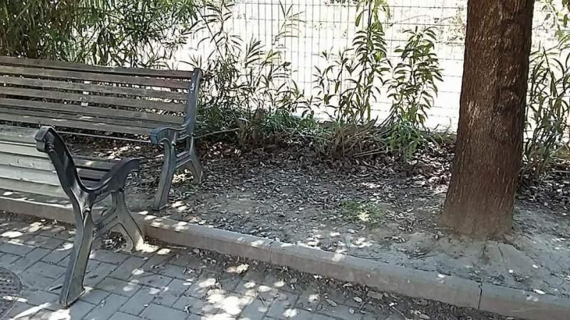 Parco delle Meraviglie画像