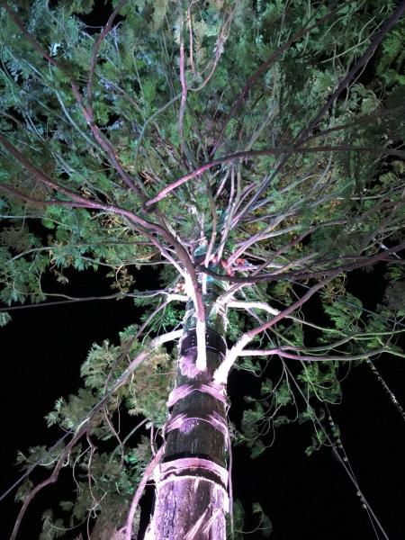 Happy Rainbow Christmas画像