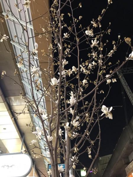 Happy Rainbow Monday画像