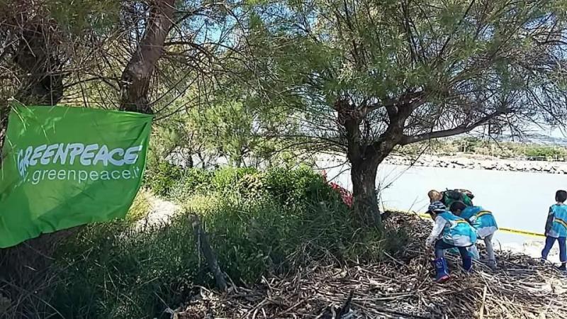 greenpeace とコラボお掃除 in Montesilvano画像
