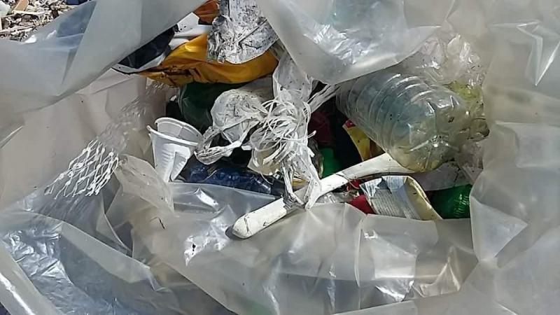 greenpeace とコラボお掃除 in Montesilvano画像