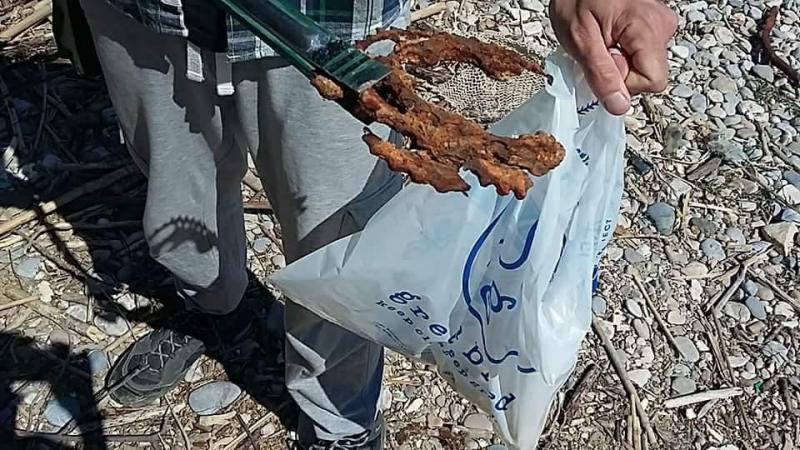 greenpeace とコラボお掃除 in Montesilvano画像