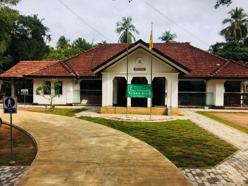 Green bird trash picking event- May画像