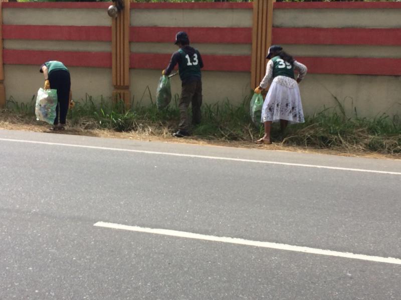 Green bird trash picking event- May画像