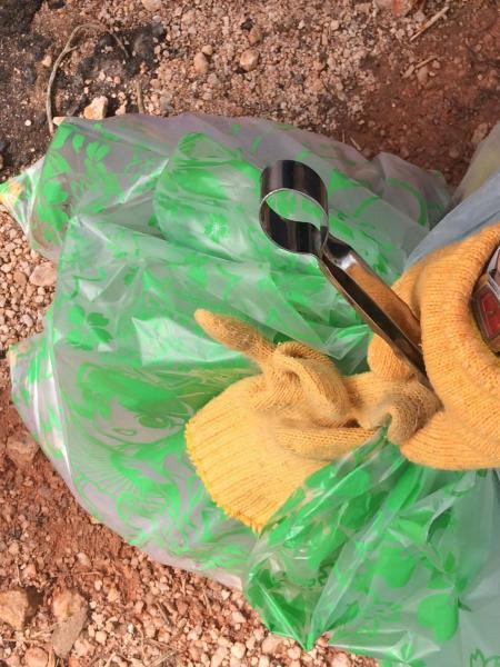 Green bird trash picking event- May画像