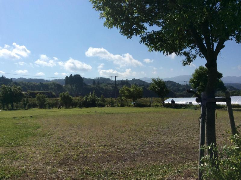 意外にも。。画像