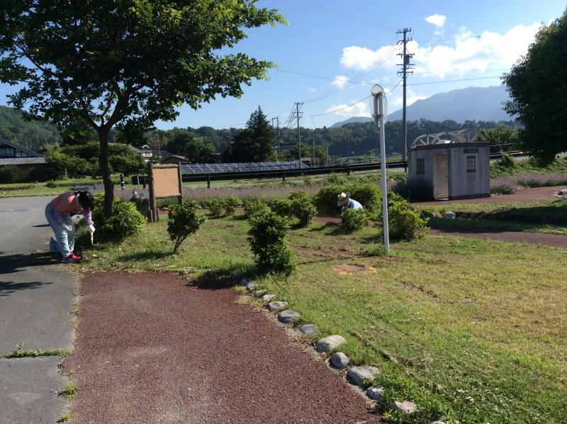 意外にも。。画像