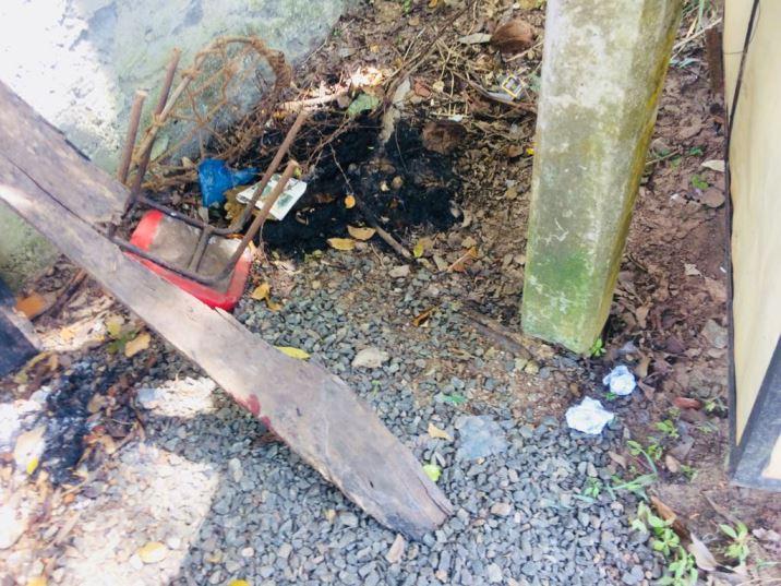 ワンマン・オペレーション　　グリンバード６月の報告画像