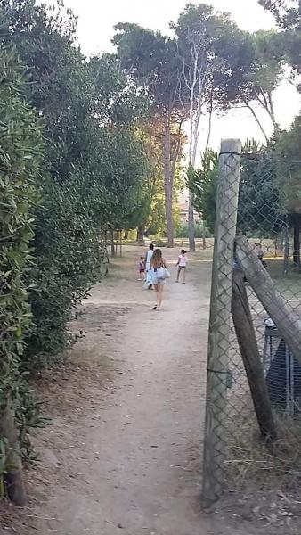 Riserva Naturale Pineta di Santa Filomena画像