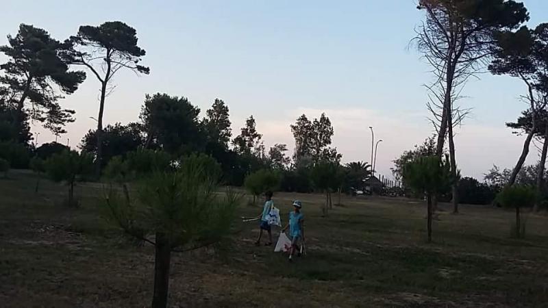 Riserva Naturale Pineta di Santa Filomena画像